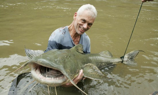 湄公河巨鲶和蓝鲨图片