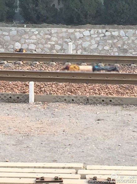 铁路事故死人图片
