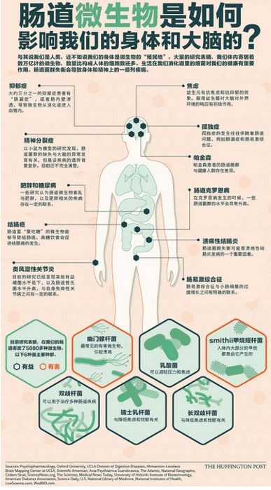 上海交大赵立平教授人体微生物组是万亿级市场但科学家要自爱企业家要