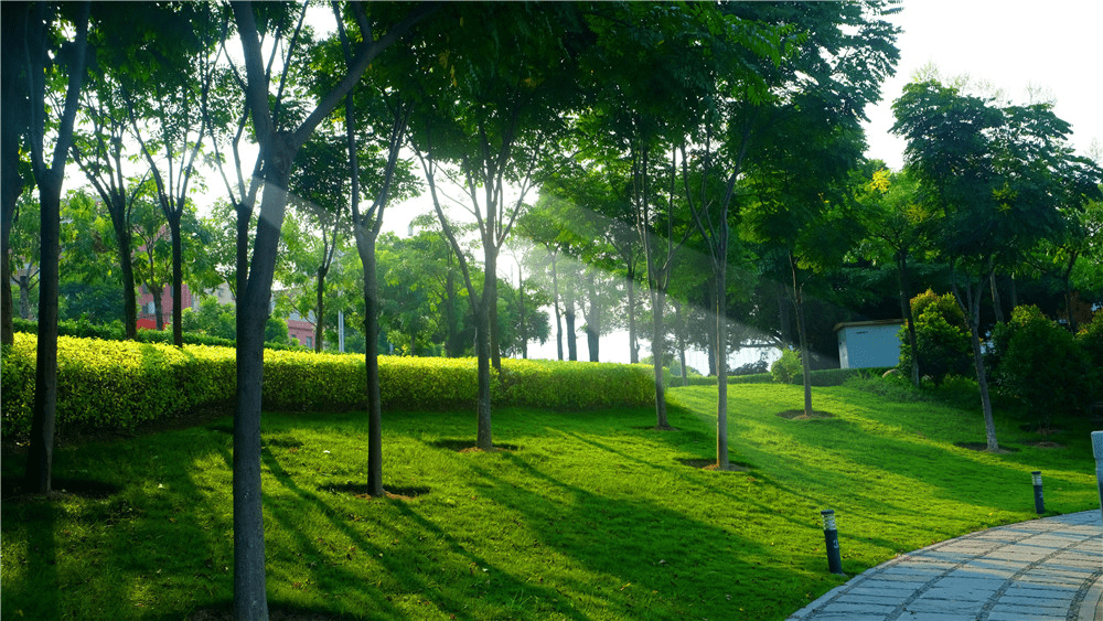 (风景湖公园景色秀丽)(厦门一中集美分校书香氤氲)(大城繁华,灌口宜居