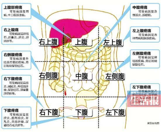 人体腹部九宫格图图片