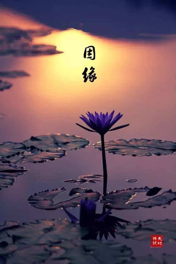 600_900竖版 竖屏