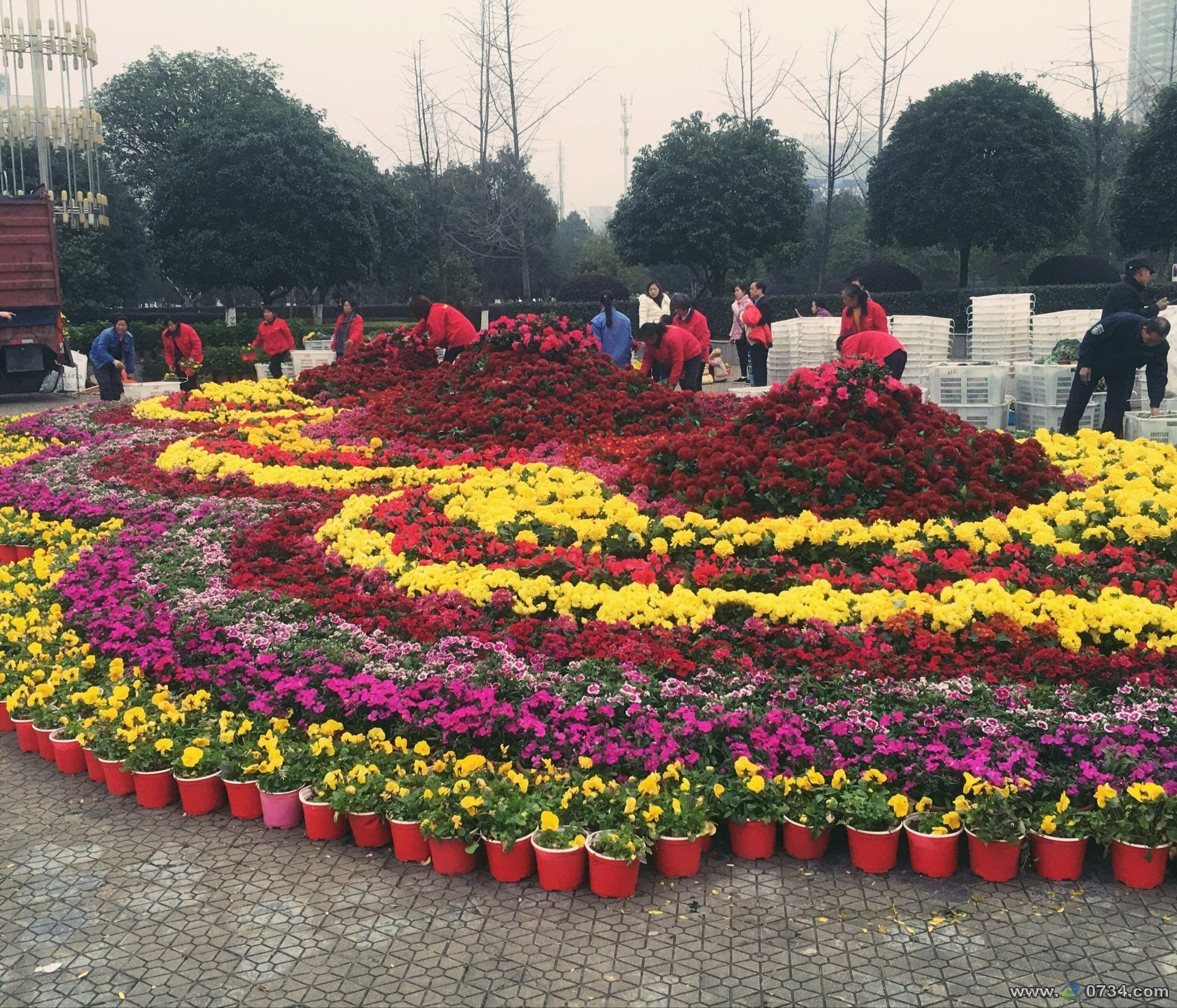 聚焦两会:衡阳城区各处摆放美丽鲜花扮靓雁城