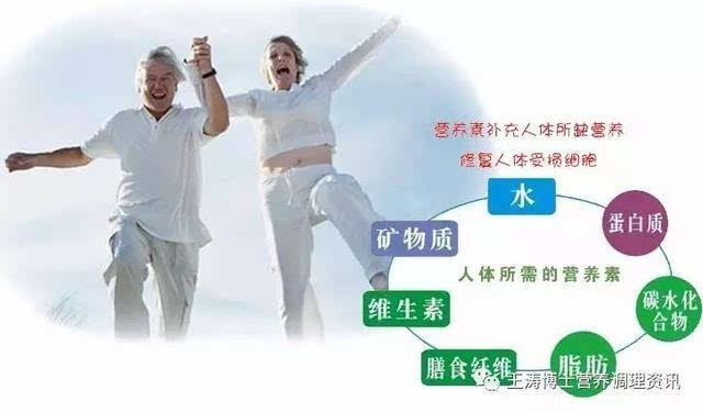 公共营养师行业动态：最新报名信息不容错过