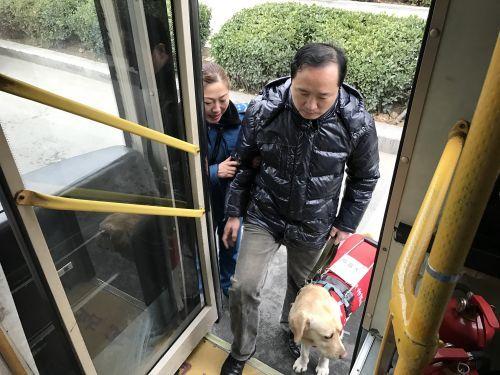 暖心:导盲犬乘公交不再"碰壁"
