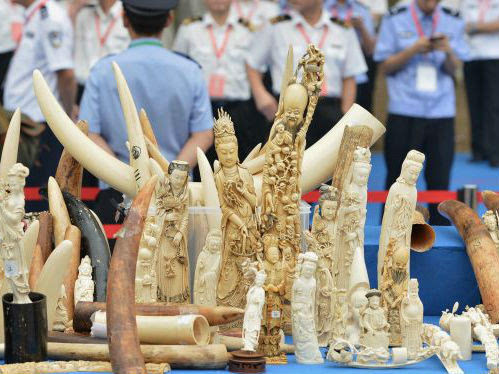 中国公开销毁的一批非法象牙及象牙制品.