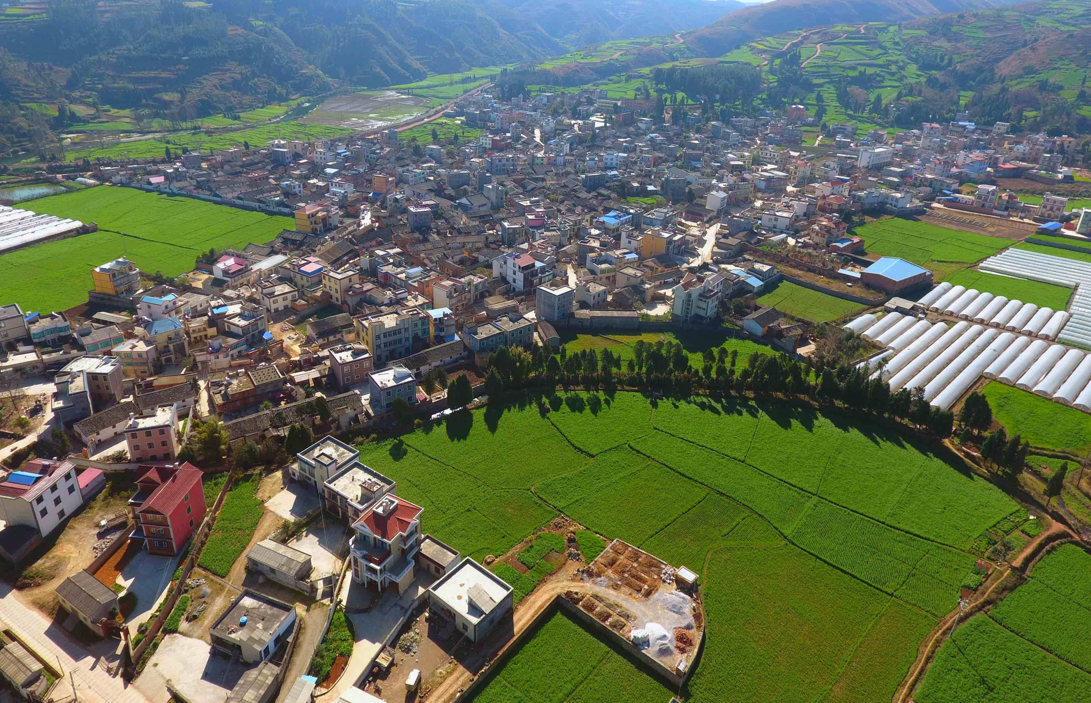 这是航拍的云南寻甸回族彝族自治县塘子村田园和民居(1月19日摄).