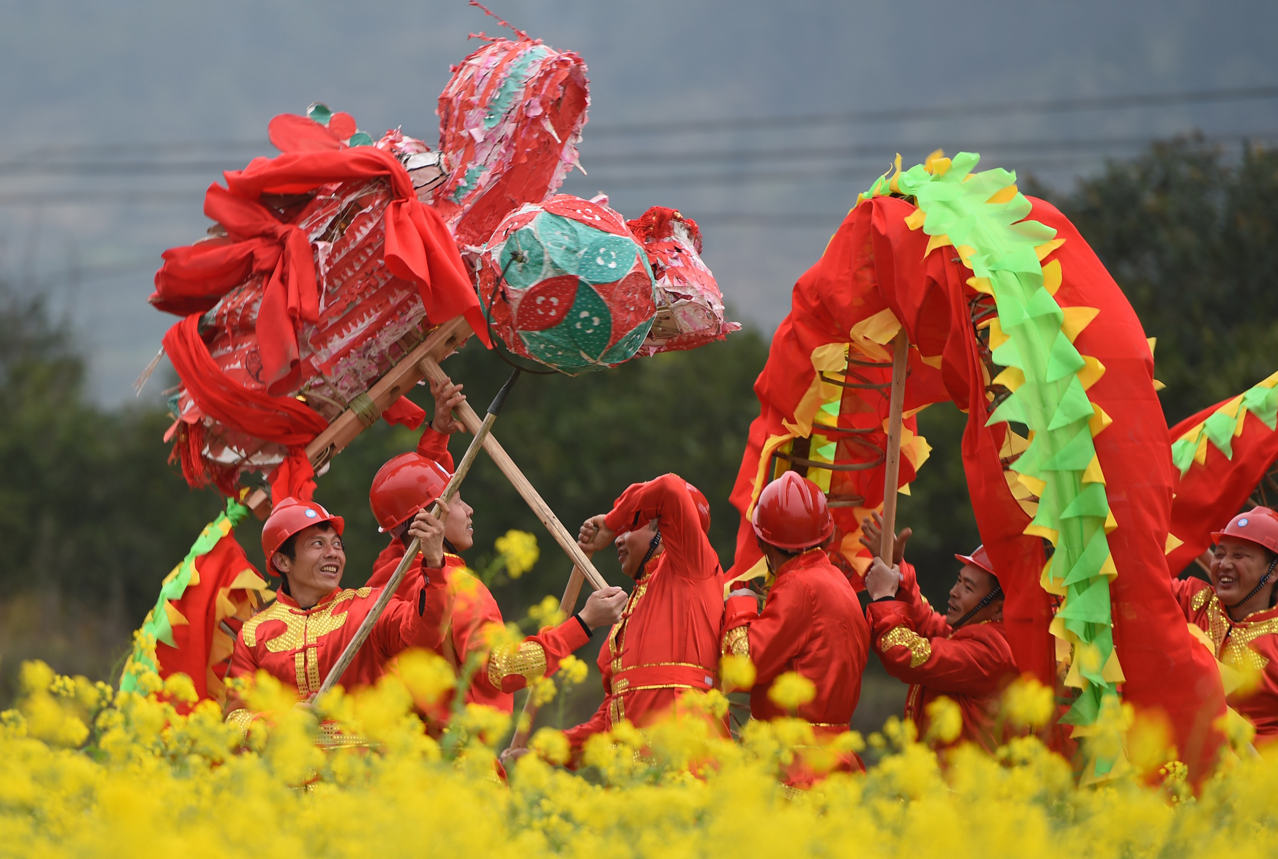 贵州余庆:花田龙舞闹新春