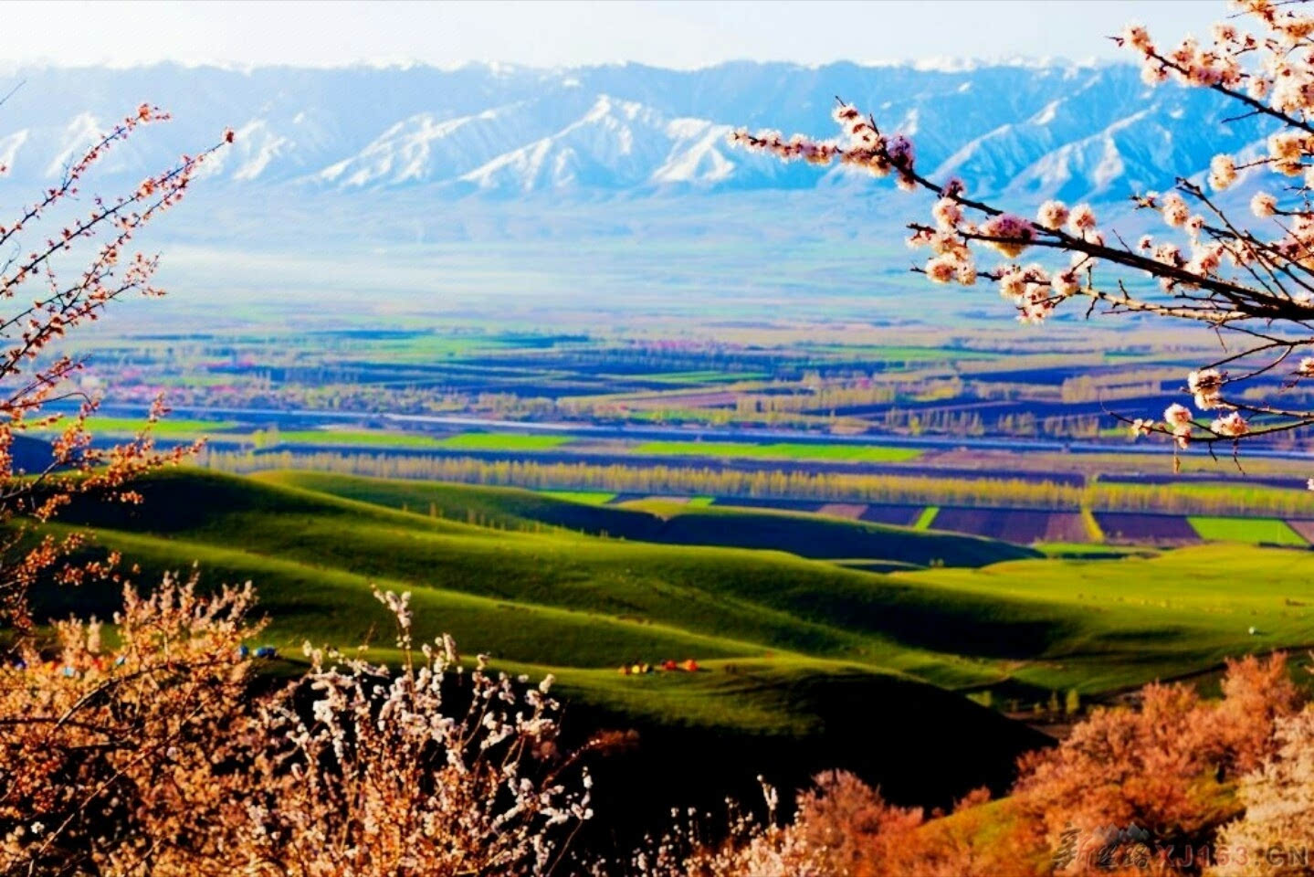 人间仙境伊犁杏花沟