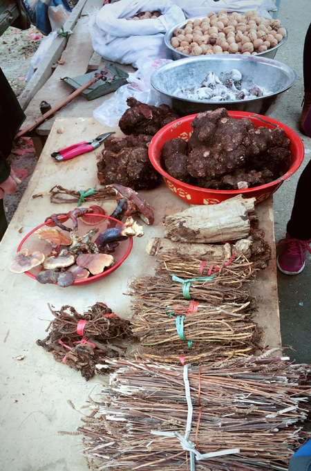 扁鹊庙会:传承两千年的祭祀