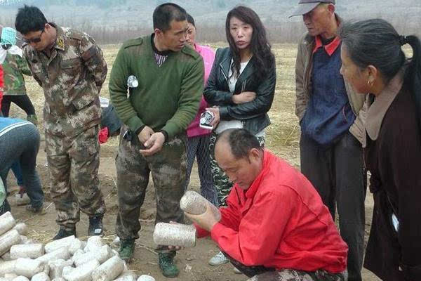 撫順後安鎮食用菌協會舉辦春季黑木耳種植技術交流會