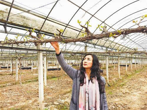 缪敏 拥抱农业产业化机遇 建3000亩生态农场