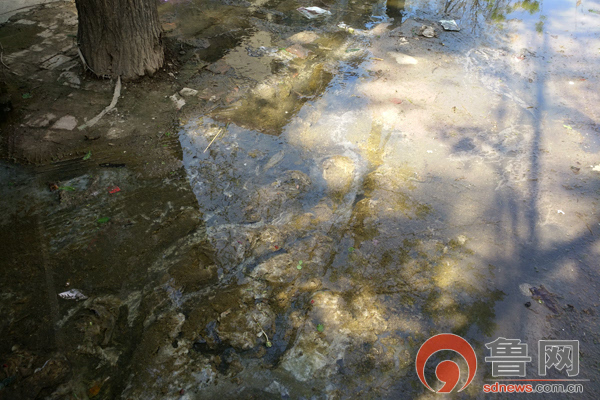 菏泽市区一下水道污水横流 市民寻求帮助3个多月未果