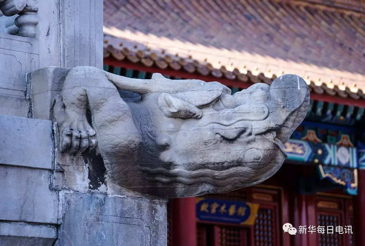 故宫不只有龙和狮子那些你说不出名字的怪兽都有自己的故事赠书