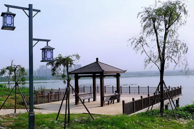 花香鸟语环绕,地下有海绵城市设施,这种生态化美景即将亮相杨春湖公园