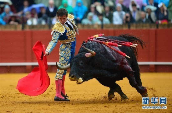 西班牙斗牛士英姿
