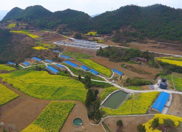 精准扶贫改变大巴山腹地贫困村老洼坪.