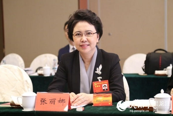 张丽娜代表:奋力推动黑龙江省文化事业大繁荣大发展