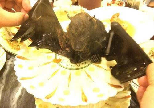 广东人输了?帕劳现水果蝙蝠汤 味道鲜美像鸡汤