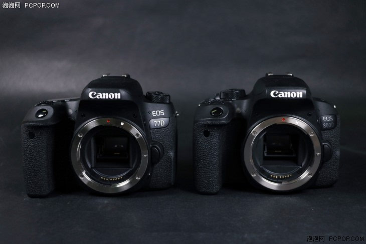 拥有两套高性能对焦系统 佳能eos 77d单反评测