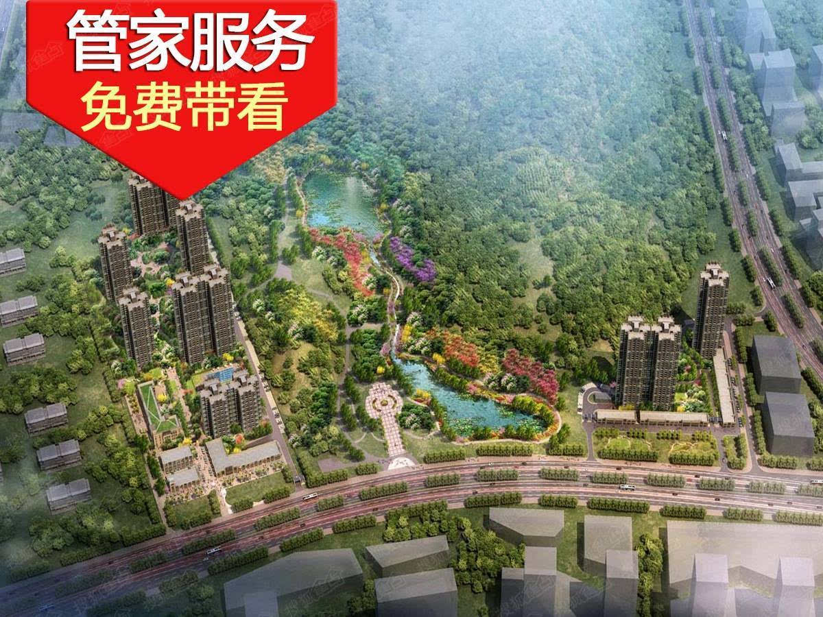时代春树里