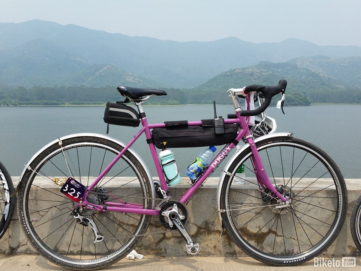 雄关漫道真如铁我有灵犬旅行车