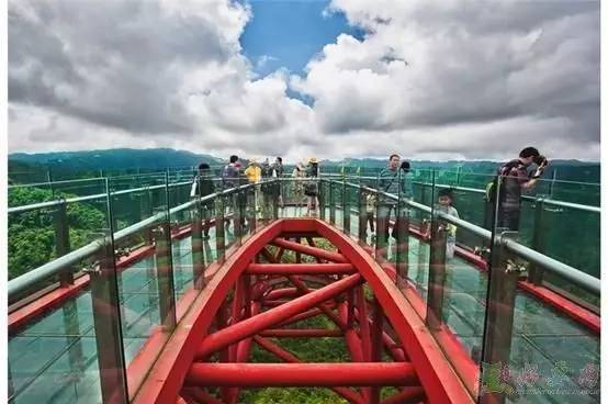 這是一座透明玻璃懸空廊橋,建造在距谷底300多米的高空,虛懸在谷壁