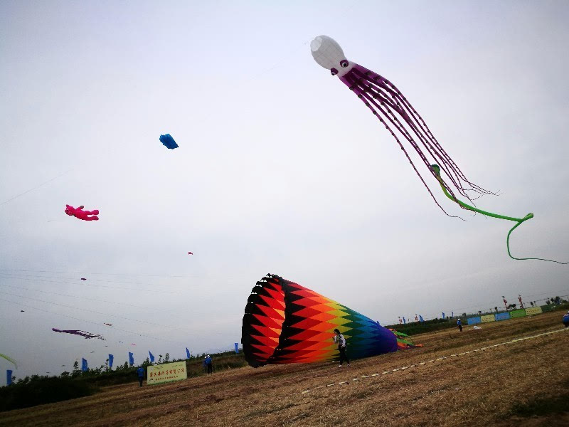 看花眼!陕西首届风筝节点亮潼关天空