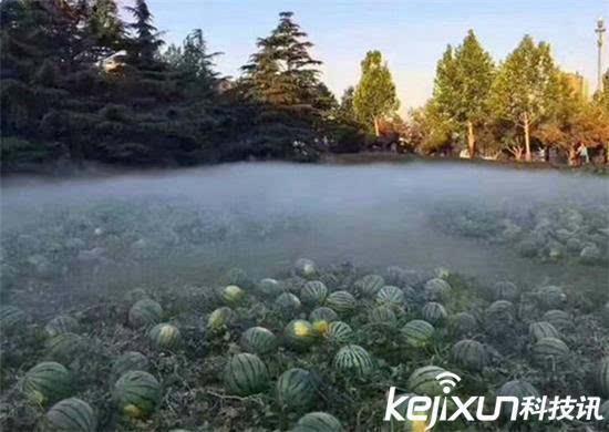 一夜之间中央美术学院铺满西瓜夜里究竟发生了什么