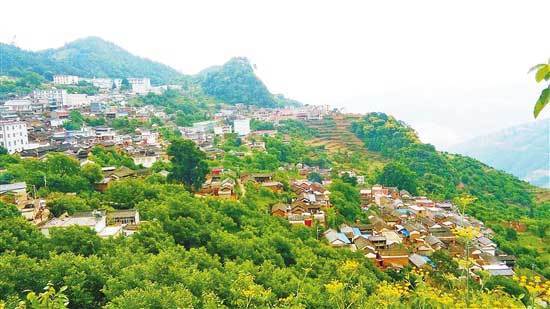 大理巍山:西窑村路畅百业兴