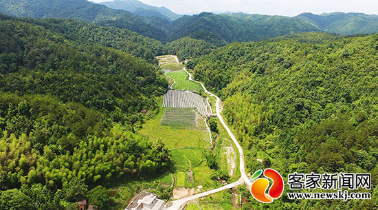 赣县区长洛乡:7公里扶贫示范带撑起村民脱贫梦