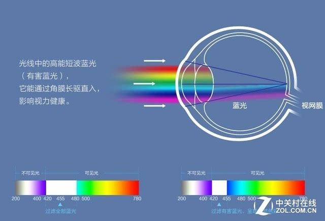 高能短波蓝光是视力下降的凶手之一