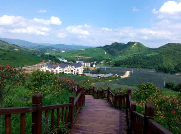 贵州麻江:打造乡村旅游精品县,做全域旅游排头兵