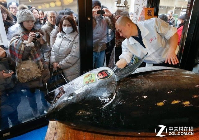 吉尼斯纪录 日本一条金枪鱼卖950万元