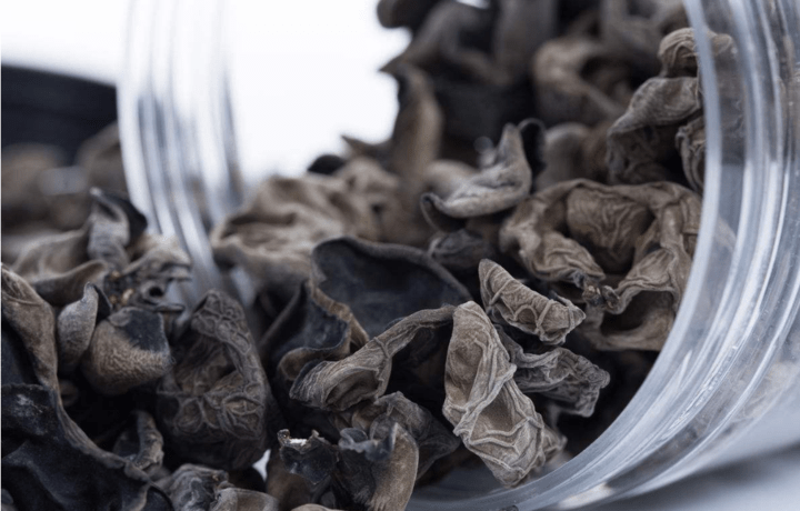 浙江为黑木耳召开一场专题学术研讨会,食之中毒咋回事?