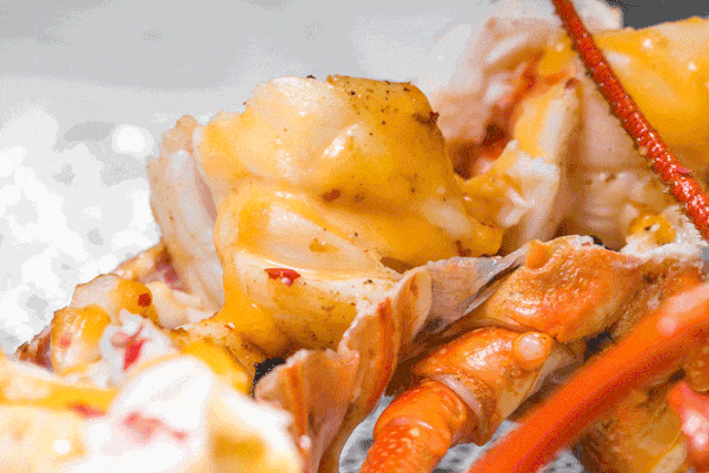 如果你也刚好爱吃澳洲龙虾仔那我和你的故事就开始了……一口"鲜"一口