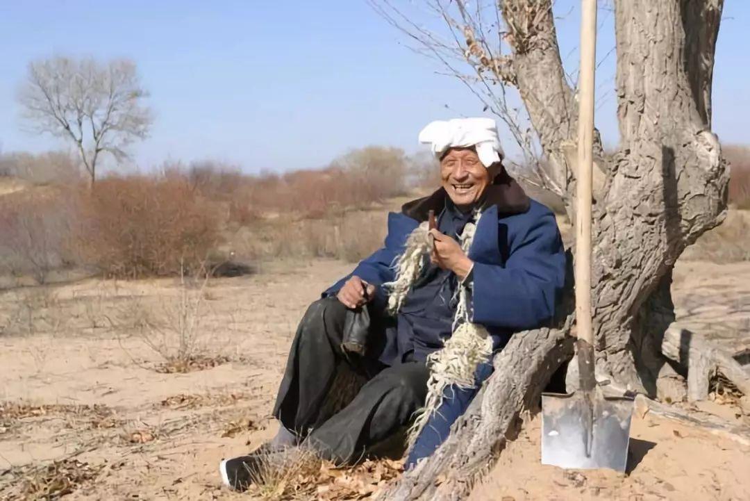 微视山东生态奇迹毛乌素沙漠即将从陕西版图消失