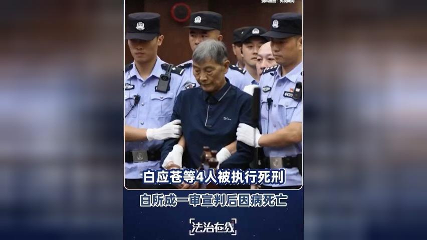 缅北白家犯罪集团案4名罪犯被执行死刑 白所成一审宣判后因病死亡