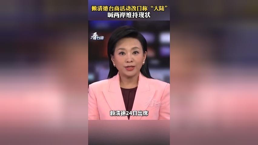 赖清德台商活动几乎全程使用“大陆”一词 遭痛批：不要玩两面手法