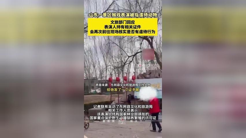山东一景区猴戏表演被指虐待动物，文旅部门回应：会前往现场核实