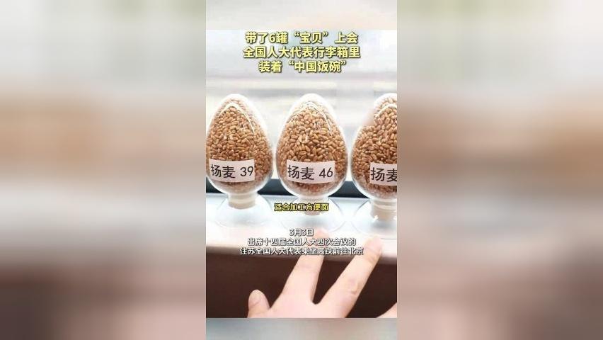 人大代表带6罐“宝贝”上会，本人发声