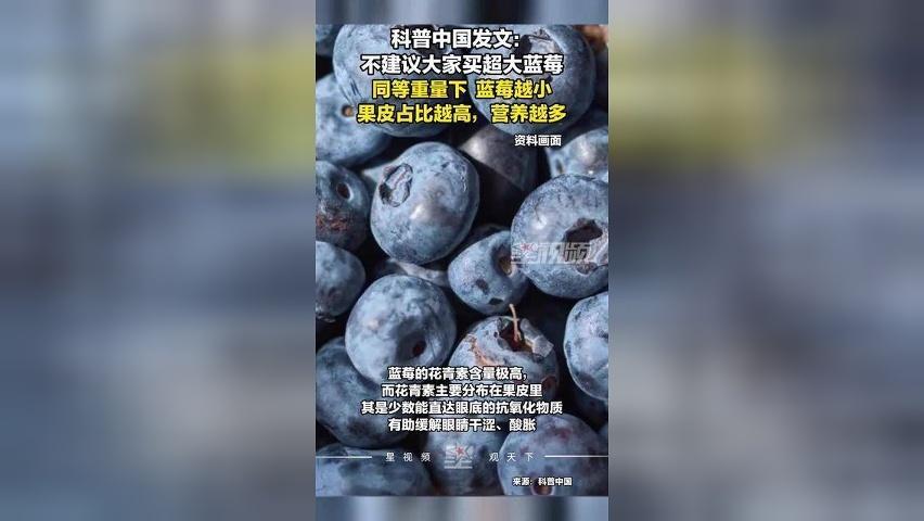 科普中国发文：不建议大家买超大蓝莓，果皮占比越高，营养越多