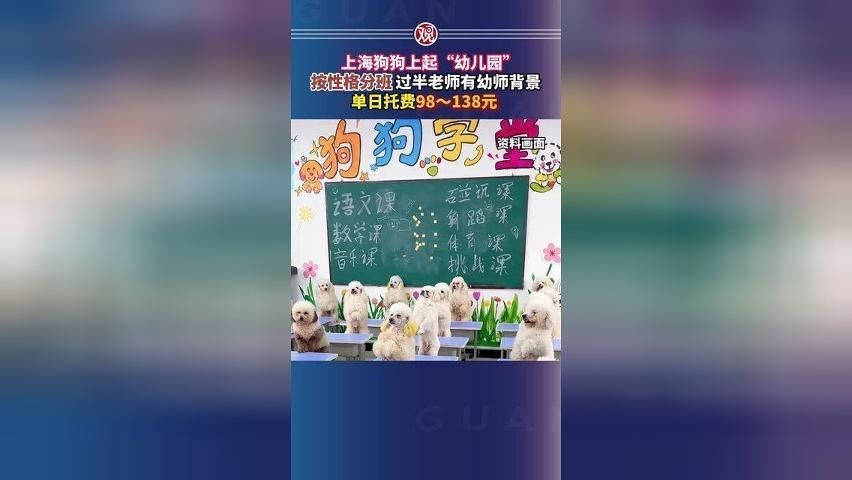 上海狗狗上起“幼儿园”，按性格分班，过半老师有幼师背景，单日托费98～138元