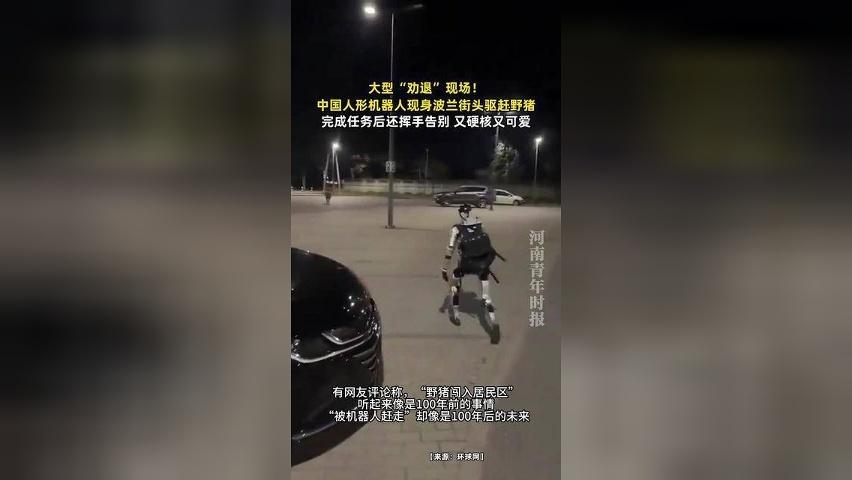 大型“劝退”现场！中国人形机器人现身波兰街头驱赶野猪，完成任务后还挥手告别
