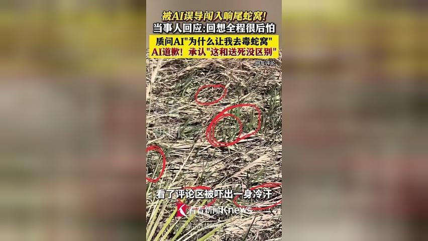 被AI误导闯入响尾蛇窝 当事人：无比后怕！