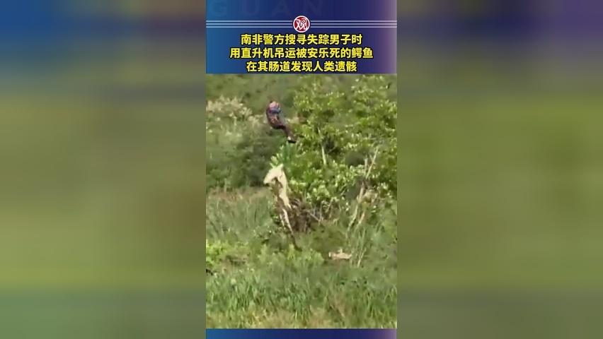 南非警方搜寻失踪男子时，用直升机吊运被安乐死的鳄鱼，在其肠道发现人类遗骸