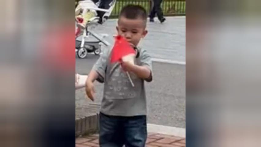 2岁男孩主动捡起掉落的国旗 轻轻拍掉灰尘后将国旗高高举起 网友：叼着奶瓶 高举国旗 为他点赞！