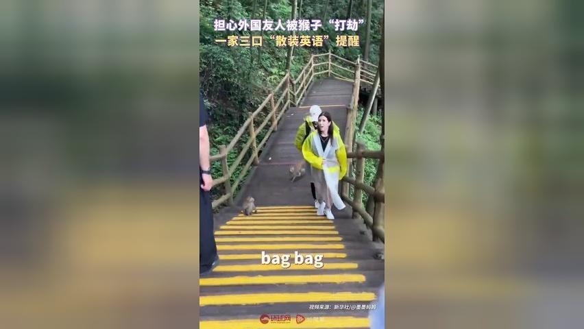 担心外国友人被猴子“打劫”，一家三口“散装英语”提醒