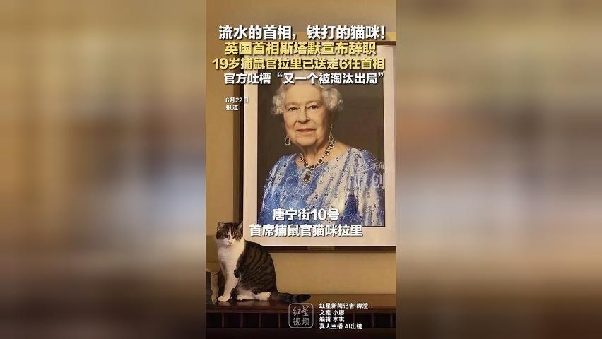 流水的首相，铁打的猫咪！英国首相斯塔默宣布辞职 19岁捕鼠官拉里已送走6任首相 官方吐槽“又一个被淘汰出局”