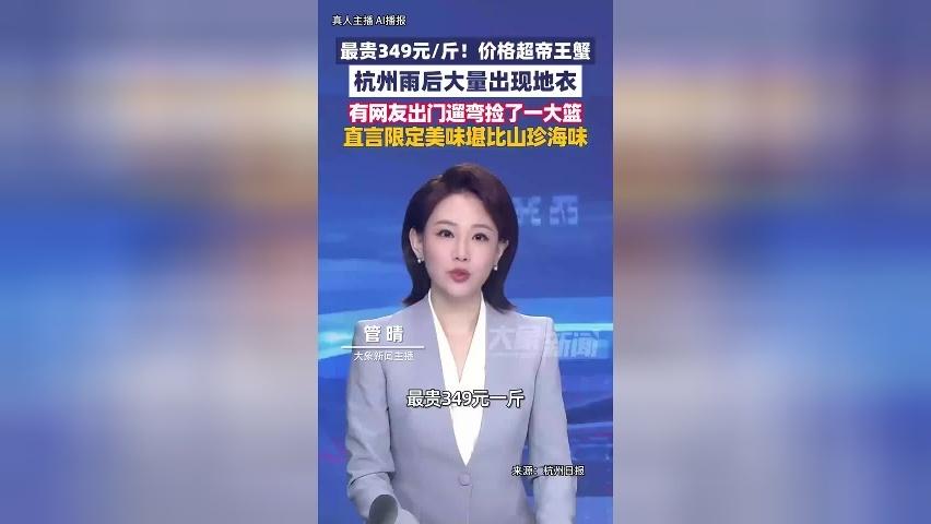 最贵349元1斤！雨后大量出现地衣 有市民组队去捡